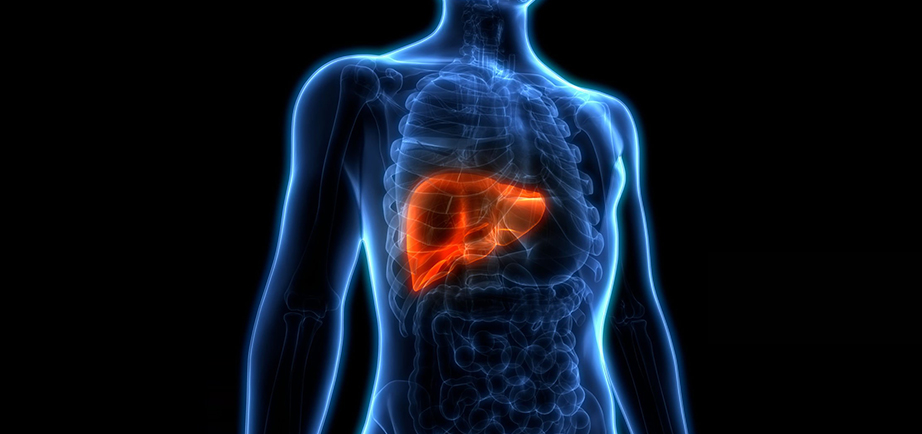 Hepato-Pancreato-Biliary Surgery & Liver Transplant