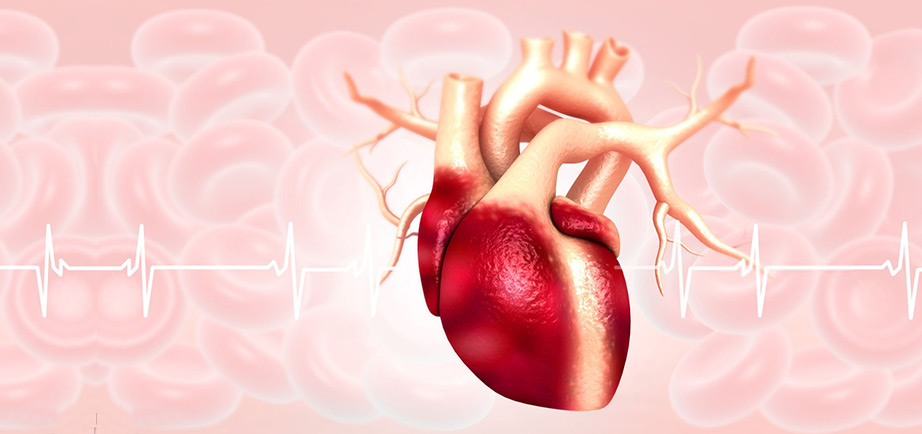 Cardiology & Preventive Cardiology