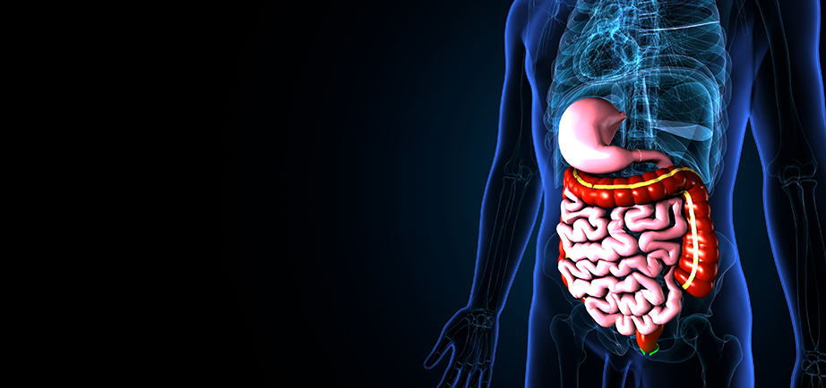 Surgical Gastroenterology