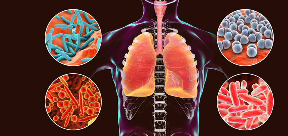 Respiratory & Chest Medicine