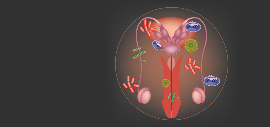 Urology & Andrology