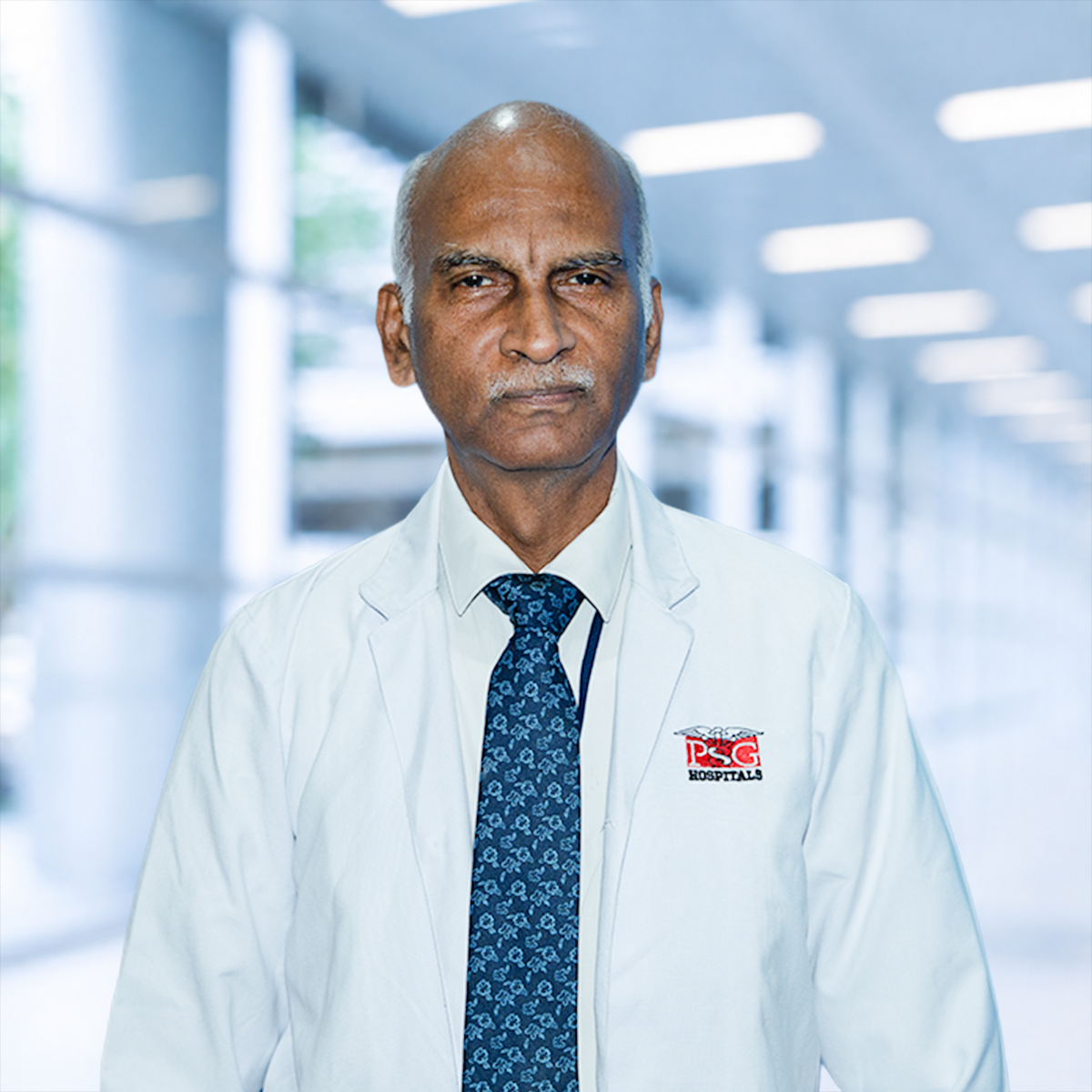 RAMAMOORTHY V